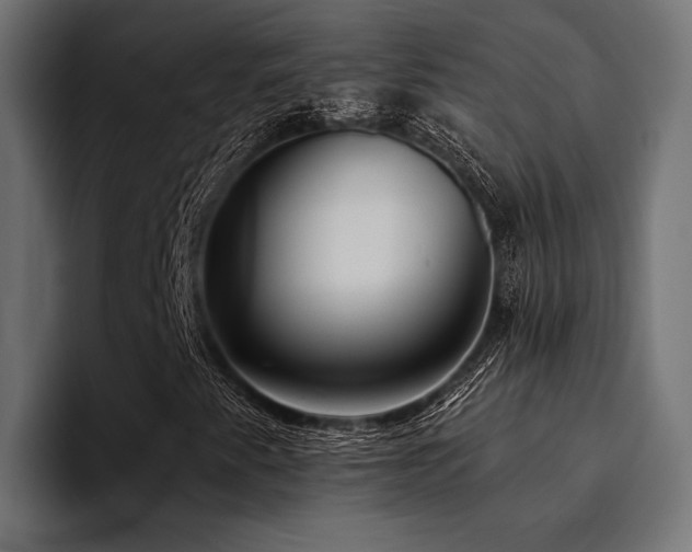 X0000094461345200711081317