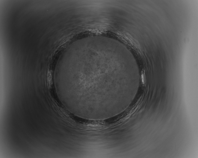 X0000094461347200711081317