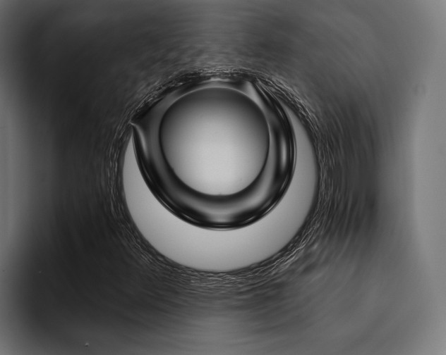 X0000094461348200711081317
