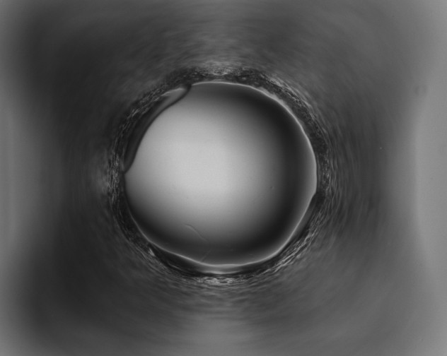 X0000094461349200711081317