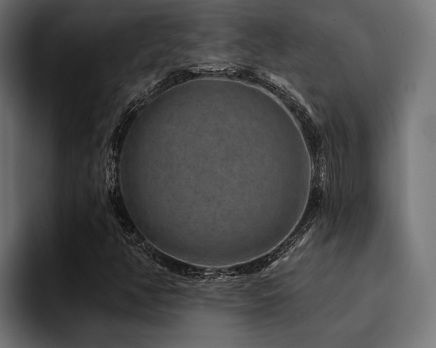 X0000094461350200711081317