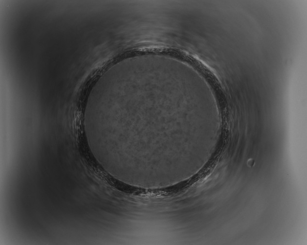 X0000094461351200711081317