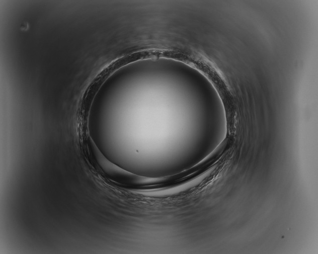 X0000094461352200711081317