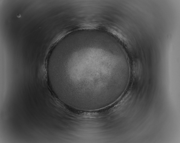 X0000094461354200711081317
