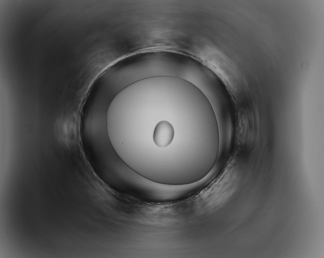 X0000094461356200711081317