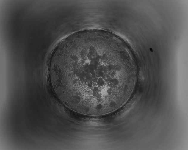 X0000094461359200711081317