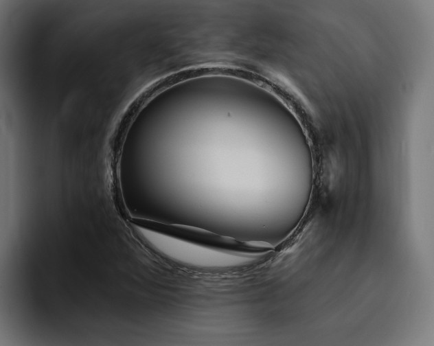X0000094461360200711081317