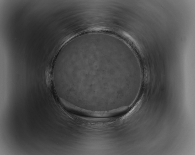 X0000094461361200711081317