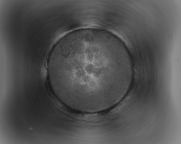 X0000094461363200711081317