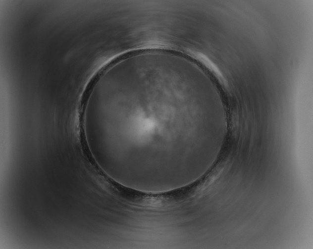 X0000094461364200711081317