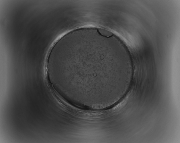 X0000094461367200711081317