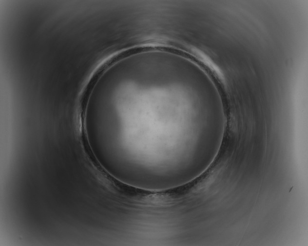 X0000094461368200711081317