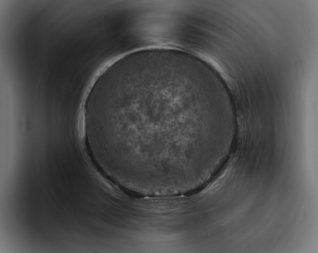 X0000094461371200711081317