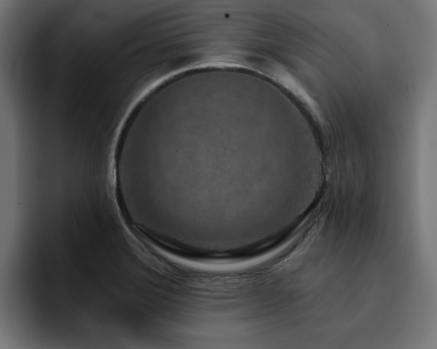 X0000094461372200711081317