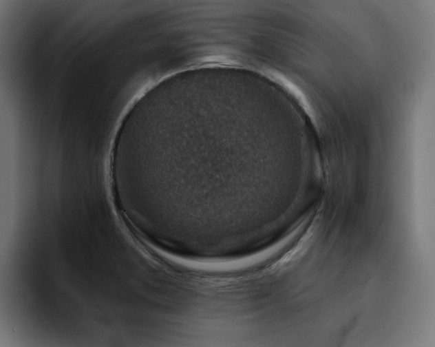 X0000094461373200711081317