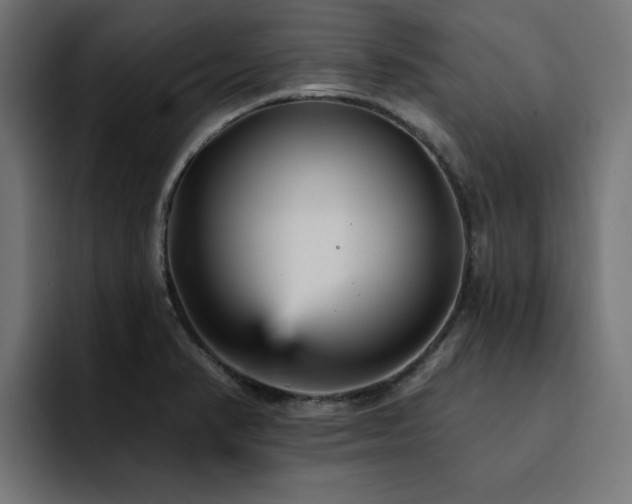 X0000094461374200711081317