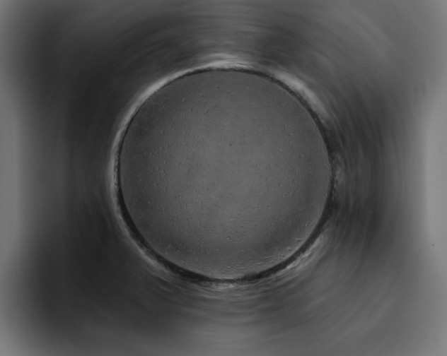 X0000094461375200711081317