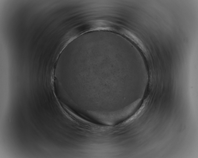 X0000094461377200711081317