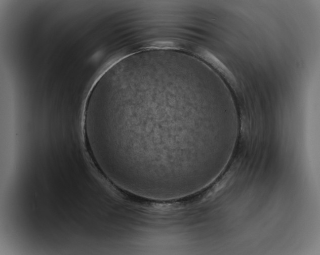 X0000094461378200711081317