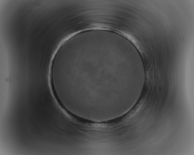 X0000094461379200711081316