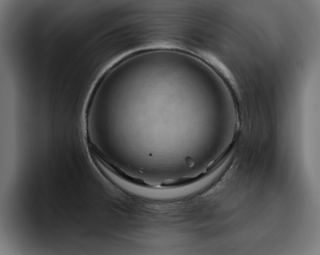 X0000094461380200711081316