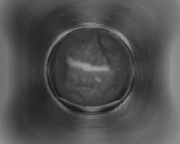 X0000094461381200711081316