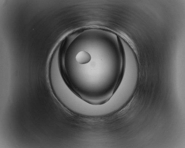 X0000094461384200711081316