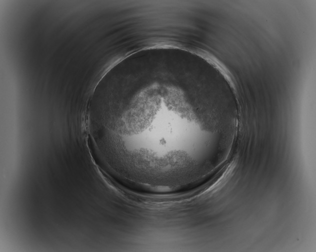 X0000094461385200711081316