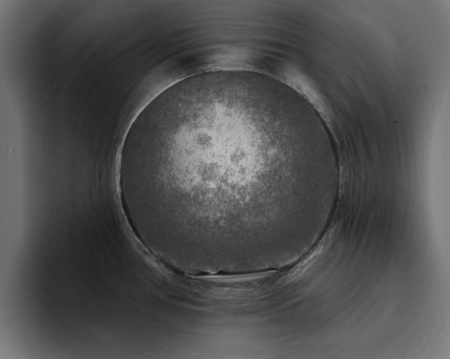 X0000094461386200711081316