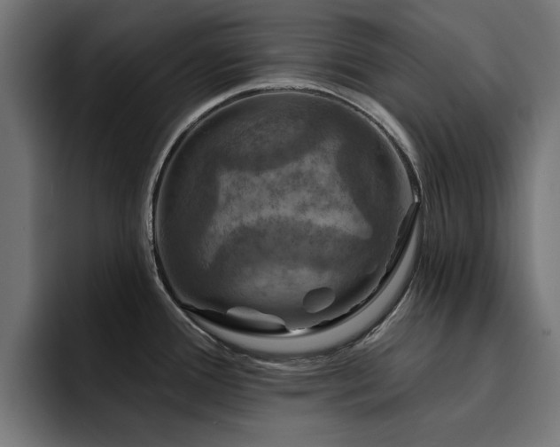 X0000094461388200711081316