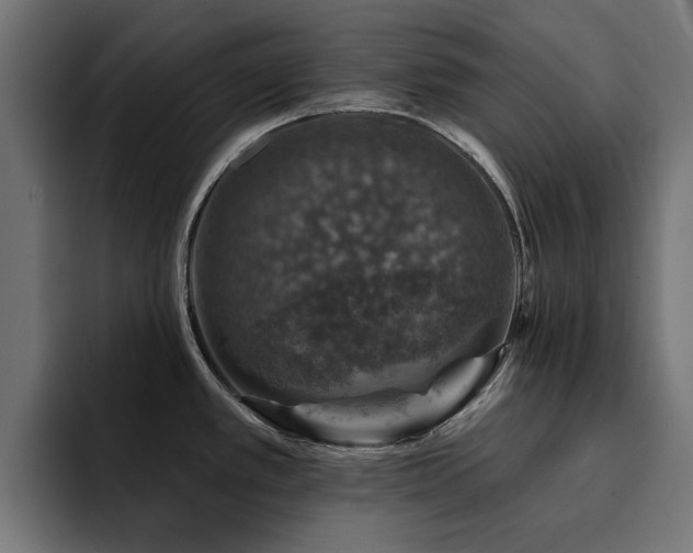 X0000094461389200711081316