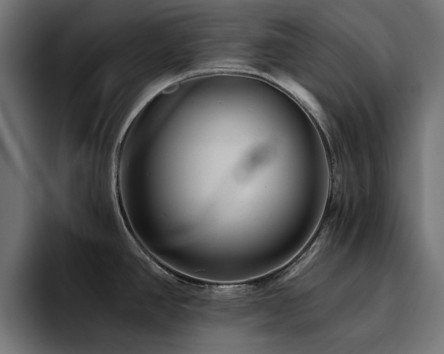 X0000094461390200711081316