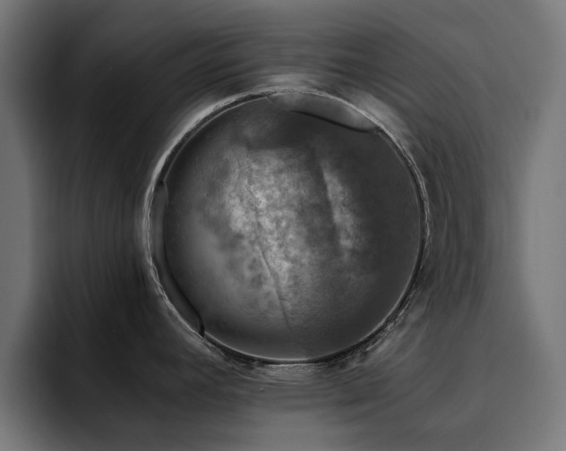 X0000094461392200711081316
