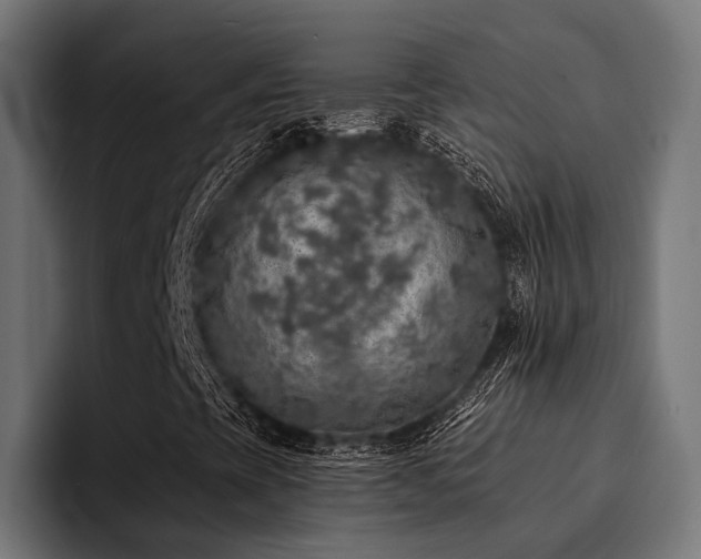 X0000094461393200711081316