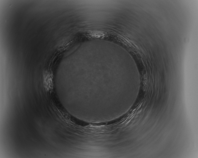 X0000094461394200711081316