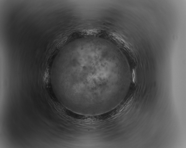 X0000094461395200711081316
