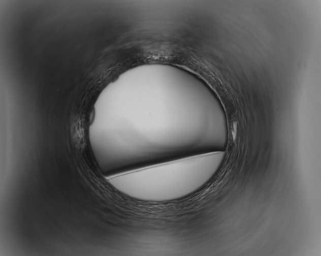 X0000094461396200711081316