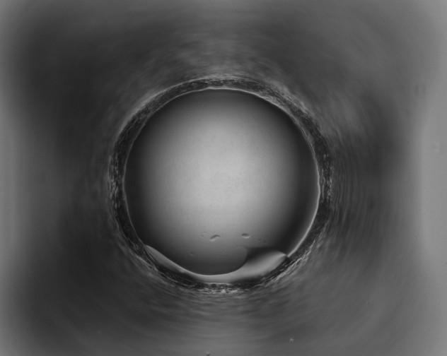 X0000094461400200711081316