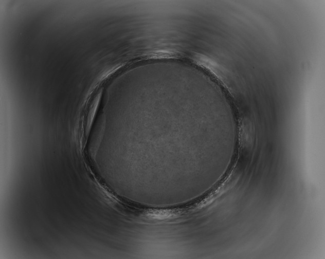 X0000094461402200711081316