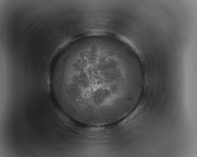 X0000094461403200711081316