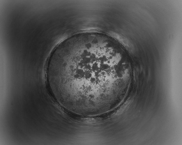 X0000094461405200711081316