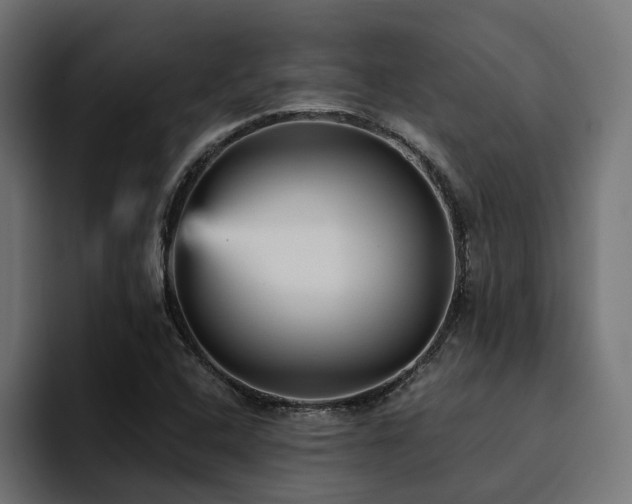 X0000094461408200711081316
