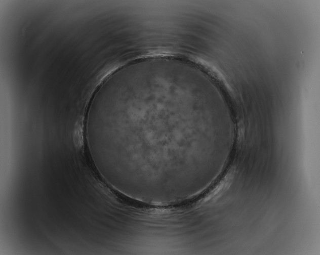 X0000094461409200711081316