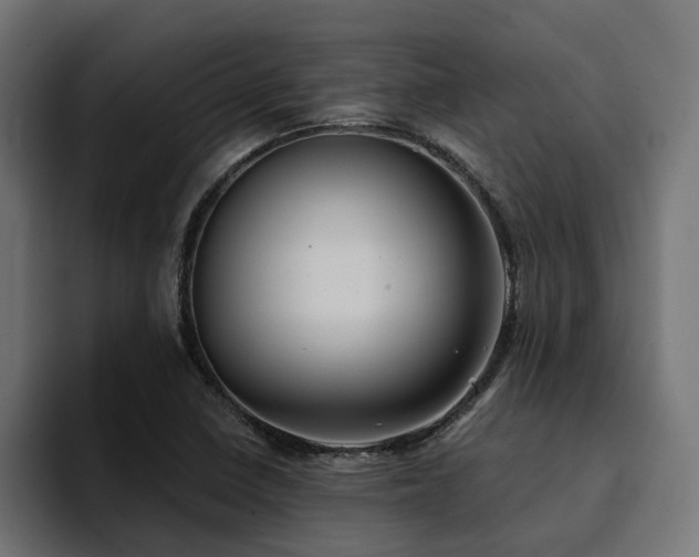 X0000094461410200711081316