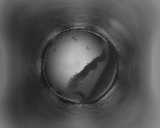 X0000094461411200711081316