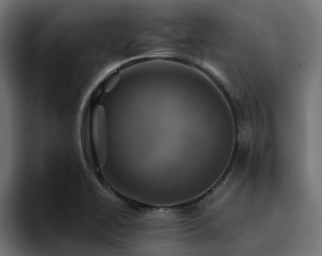 X0000094461414200711081316