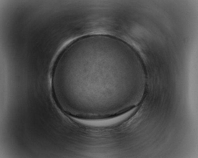 X0000094461416200711081316