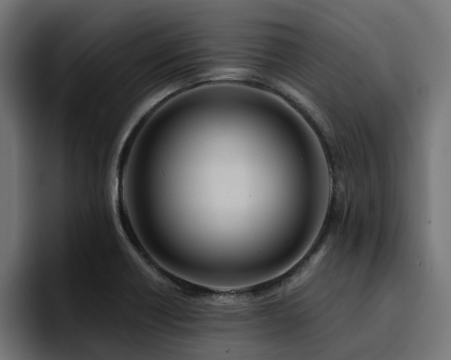 X0000094461418200711081316