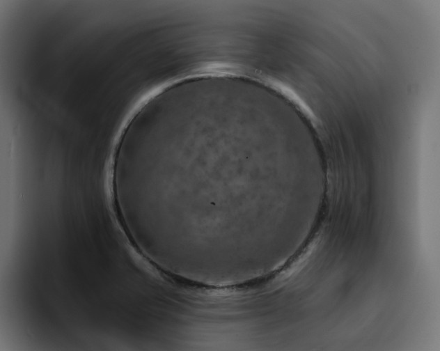 X0000094461421200711081316