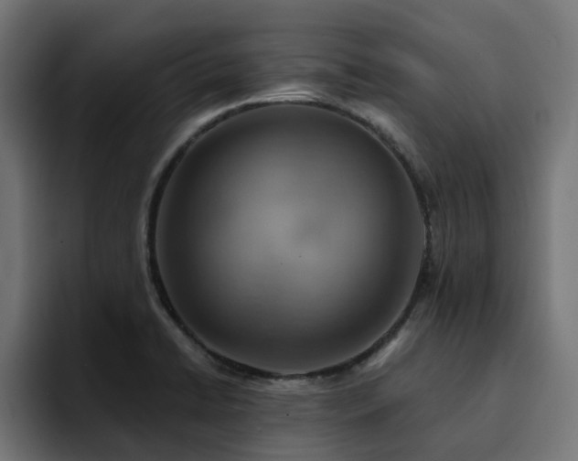 X0000094461422200711081316